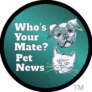 Logo comprising brand text and hand-drawn dog's face and cat's face